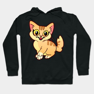 Tabby cat T-Shirt Hoodie